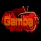 gamba tv panel dealer